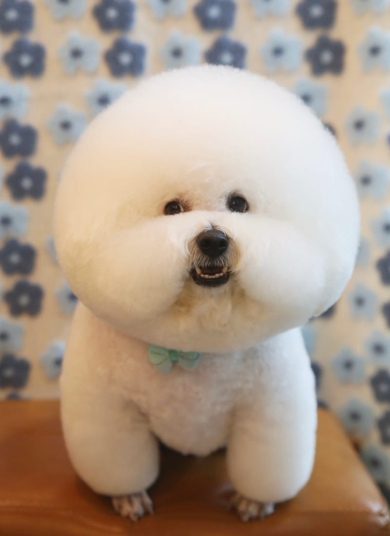 업체 정보 이미지 5