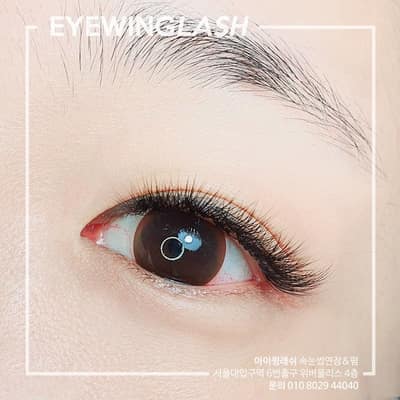 [서울 관악] 아이윙래쉬