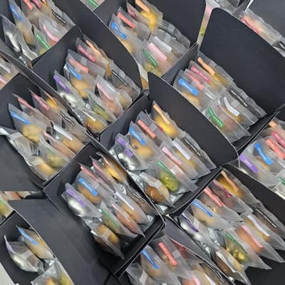 [전북 전주] 할로케크 체험단