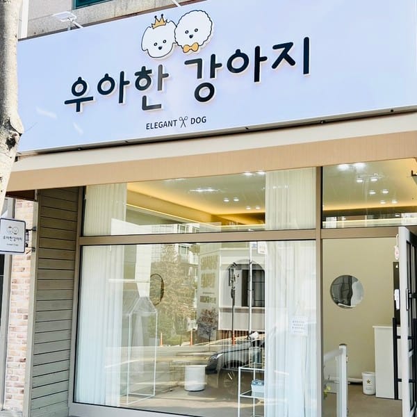 [광주] 우아한강아지