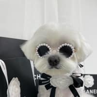 털복숭이친구들 로고