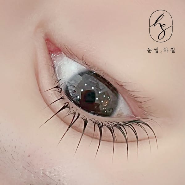 [경기 안산] 브로우하길