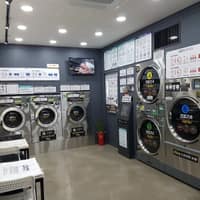 워시프렌즈 셀프빨래방 영월하송점 로고