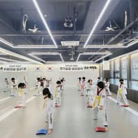 아이조은태권도 로고